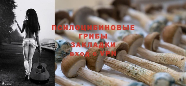 гидра Липки
