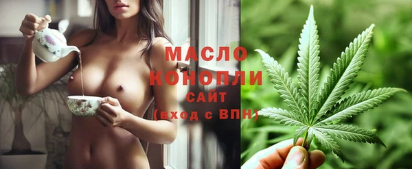 гидра Липки