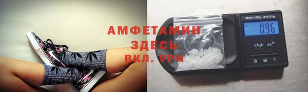 PSILOCYBIN Лабытнанги