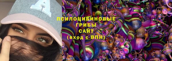 гидра Липки