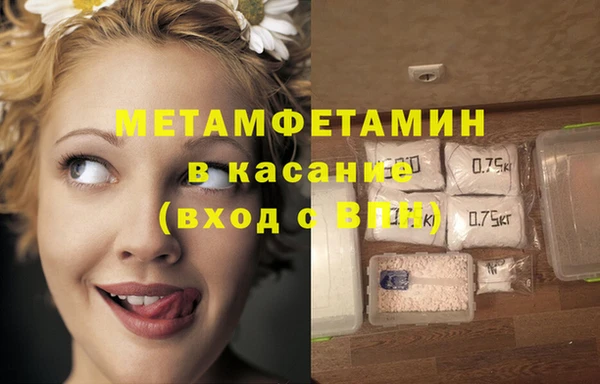 гидра Липки