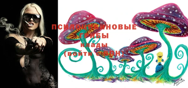 гидра Липки