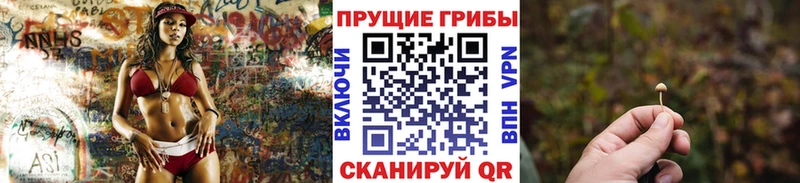 Псилоцибиновые грибы GOLDEN TEACHER  Орёл 
